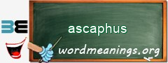 WordMeaning blackboard for ascaphus